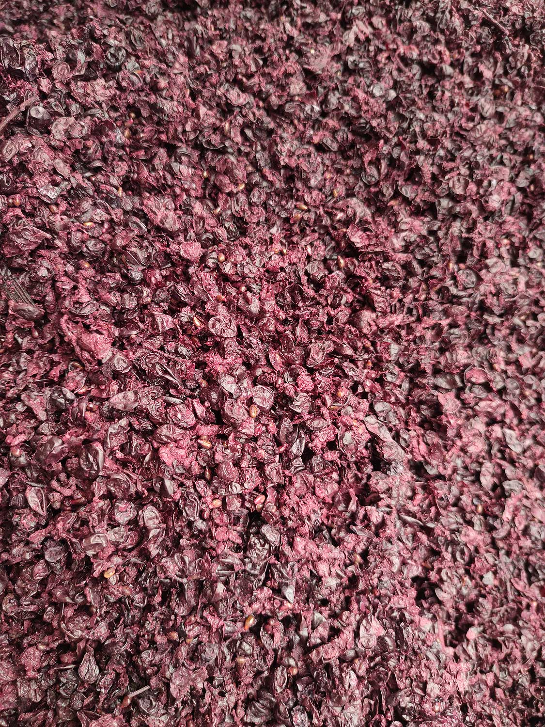 IMG 20220215 101429 mod