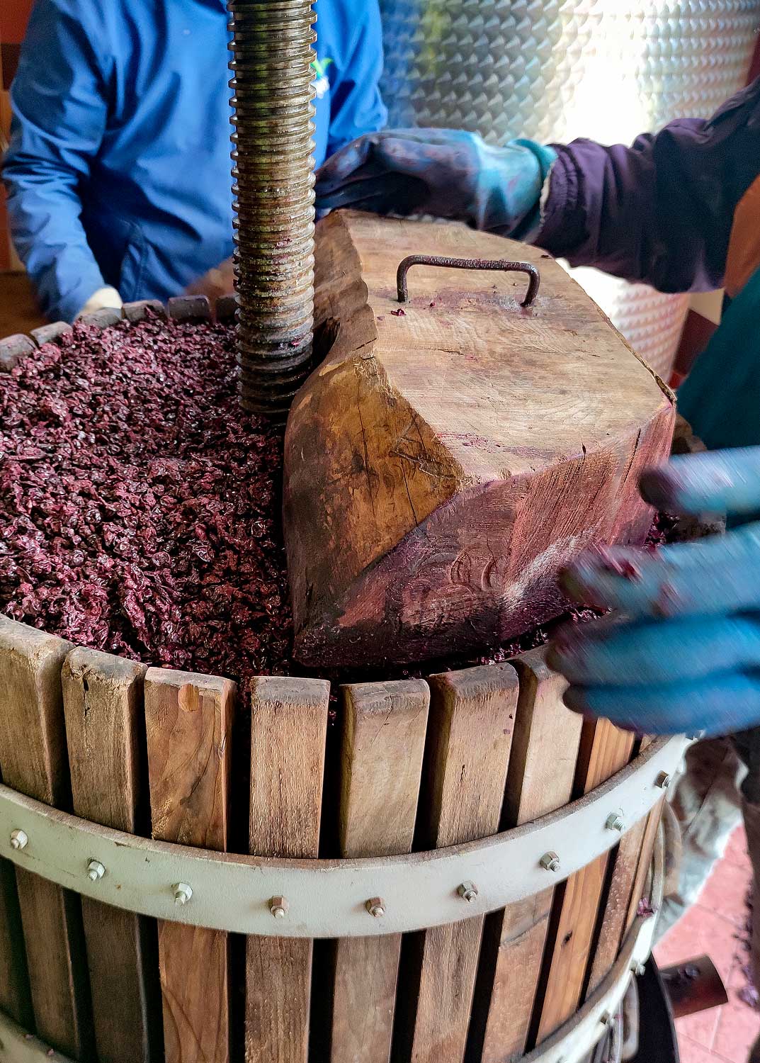 IMG 20220215 111258 mod