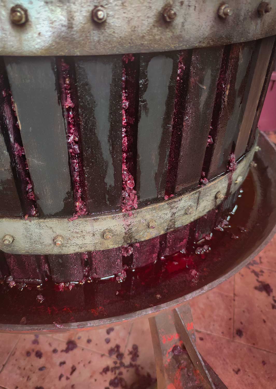 IMG 20220215 150740 mod